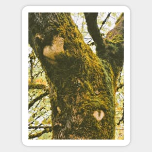 Moss Heart Sticker